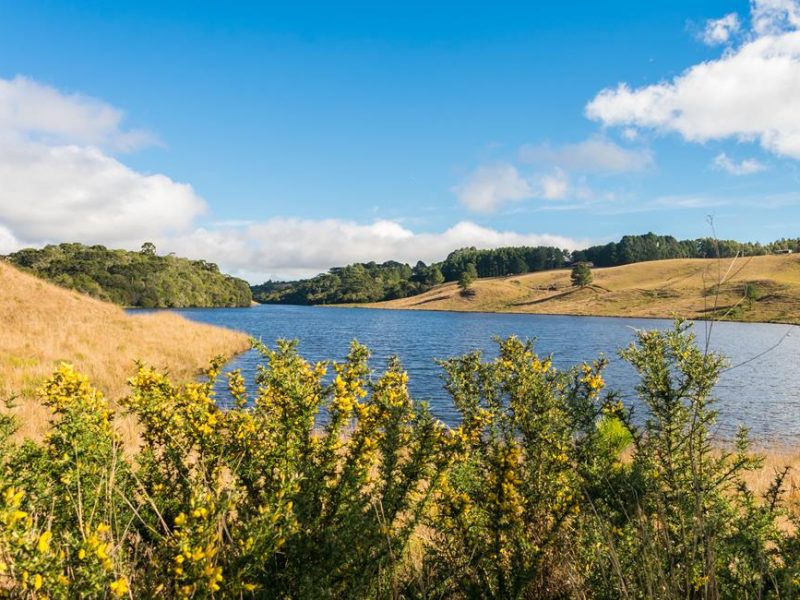 Barragem da Corsan | São Francisco de Paula