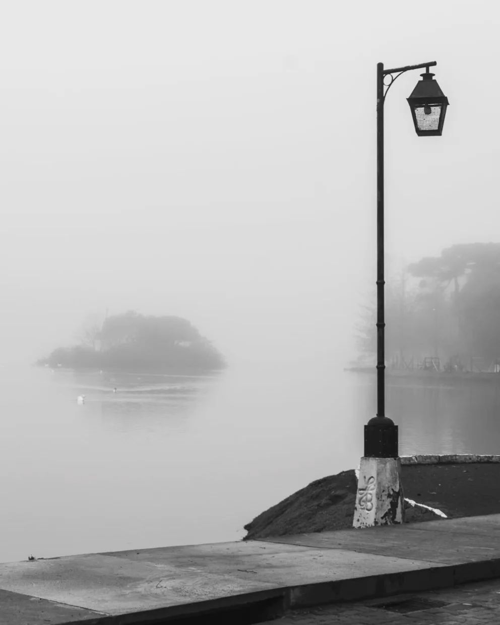neblina lago (5)