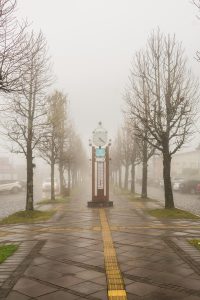 neblina-saochico (3)