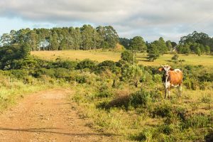 Parque da Ronda em São Francisco de Paula