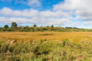 Parque da Ronda em São Francisco de Paula