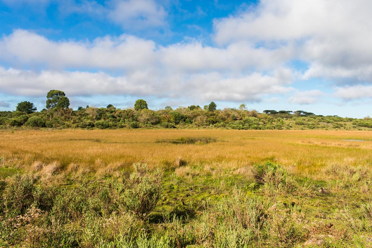 Parque da Ronda em São Francisco de Paula
