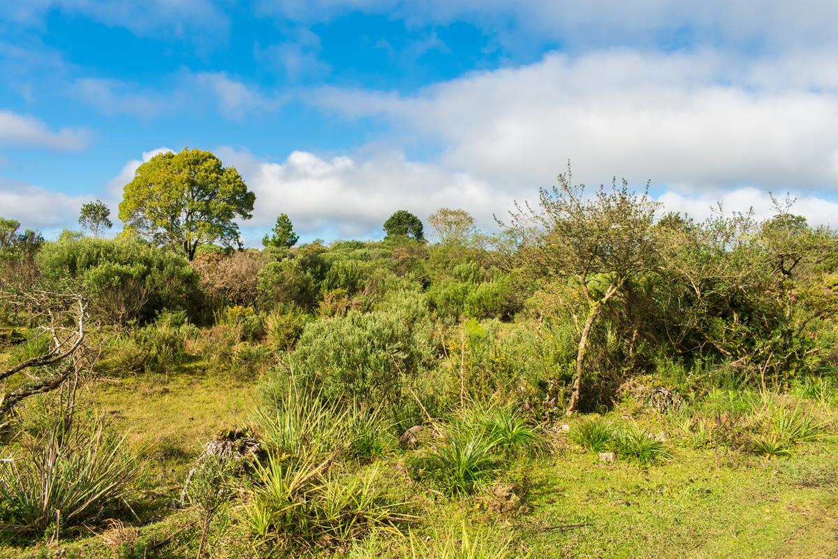 Parque da Ronda em São Francisco de Paula