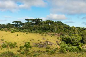 Parque da Ronda em São Francisco de Paula