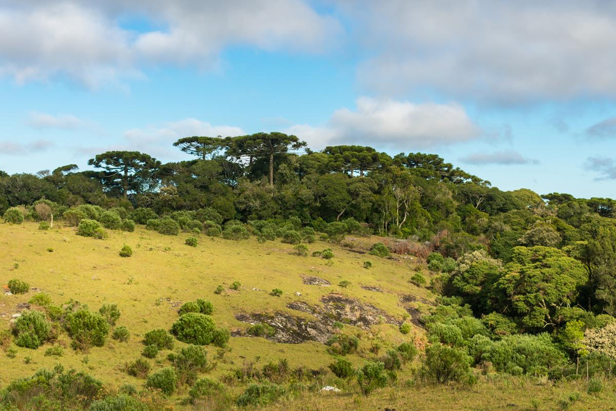Parque da Ronda em São Francisco de Paula