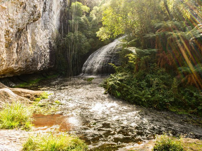 Parque da Ronda | São Francisco de Paula