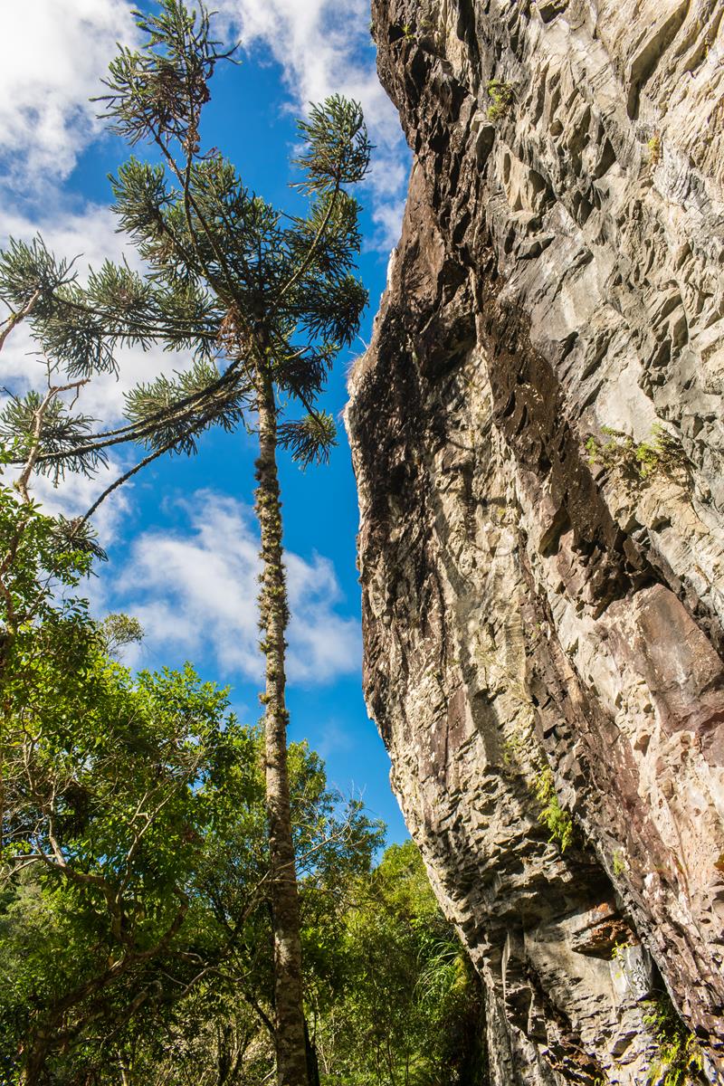 Parque da Ronda em São Francisco de Paula