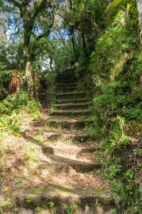 Parque da Ronda em São Francisco de Paula