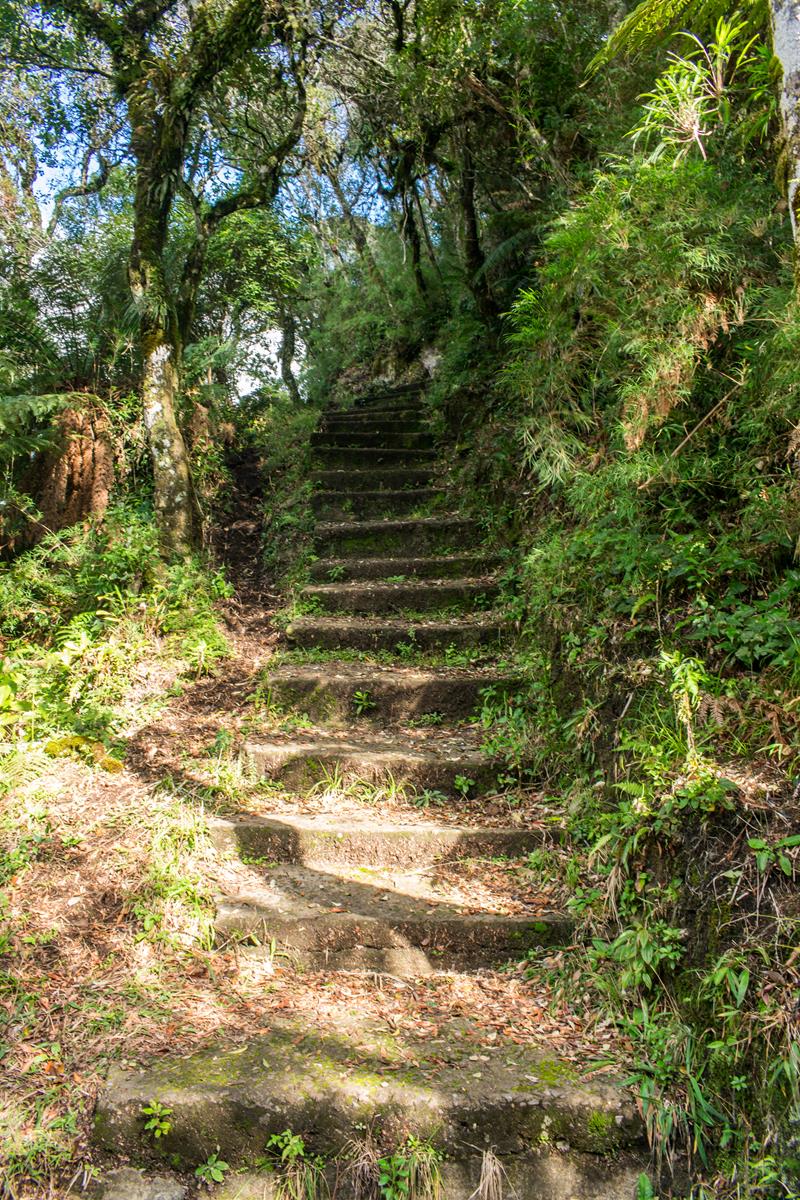 Parque da Ronda em São Francisco de Paula