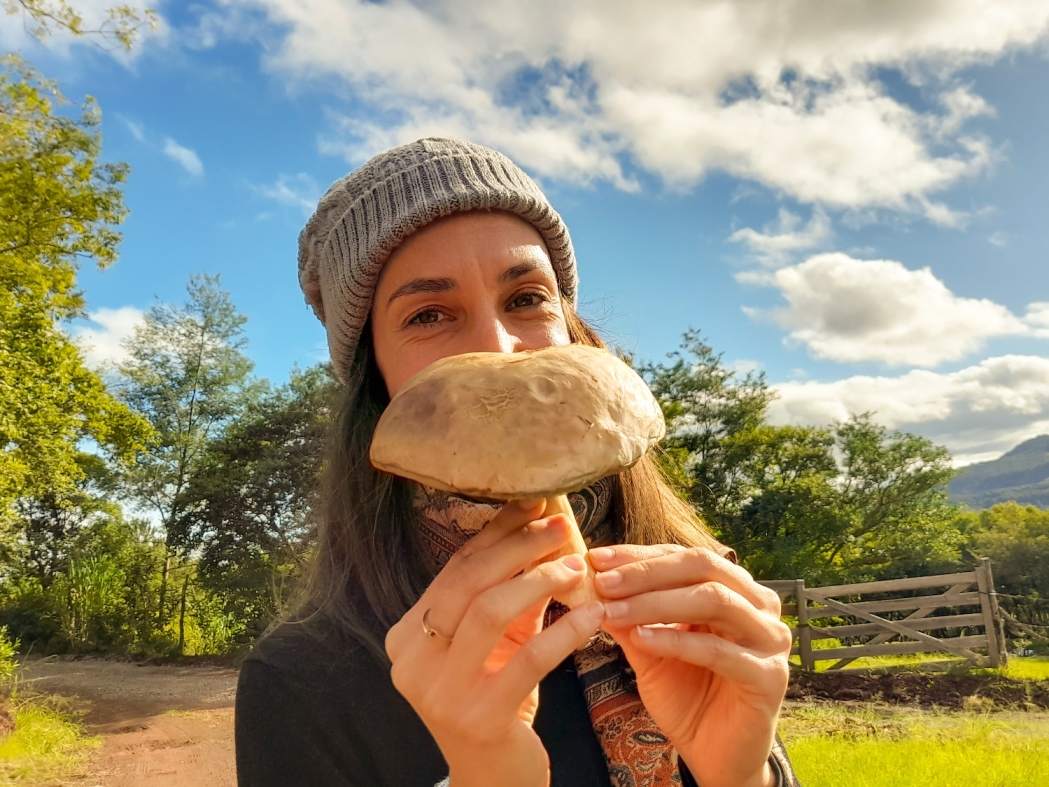 Caça aos Cogumelos na Serra Gaúcha | Experiências e Dicas