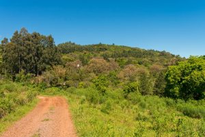 Vale da Carapina em São Francisco de Paula