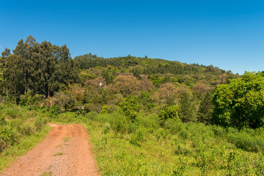 Vale da Carapina em São Francisco de Paula