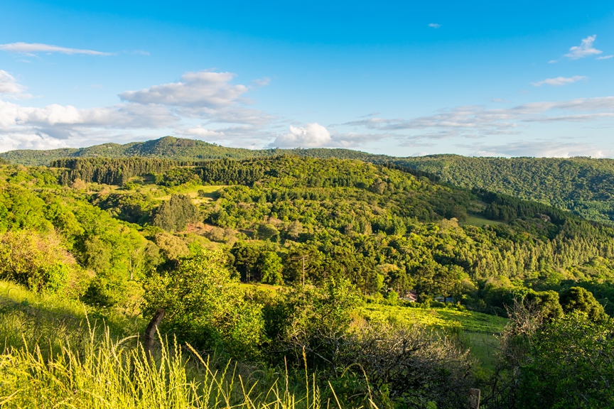 Carapina | Área Rural e Turística de São Francisco de Paula