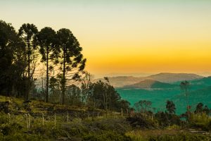 Vale da Carapina em São Francisco de Paula