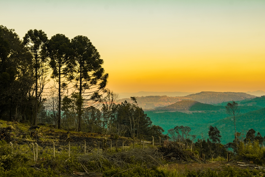 Vale da Carapina em São Francisco de Paula