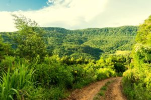Vale da Carapina em São Francisco de Paula