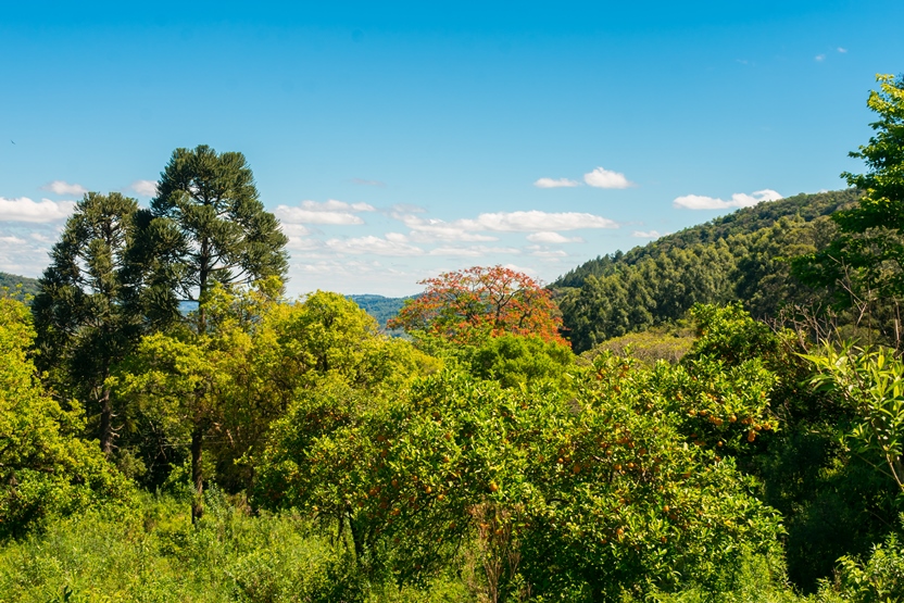 Vale da Carapina em São Francisco de Paula