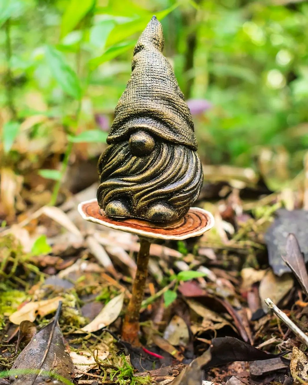 Fungo Amauroderma na Serra Gaúcha