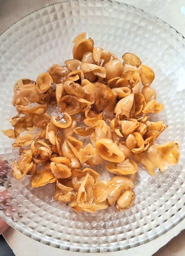 Cookeina colensoiopsis refogado