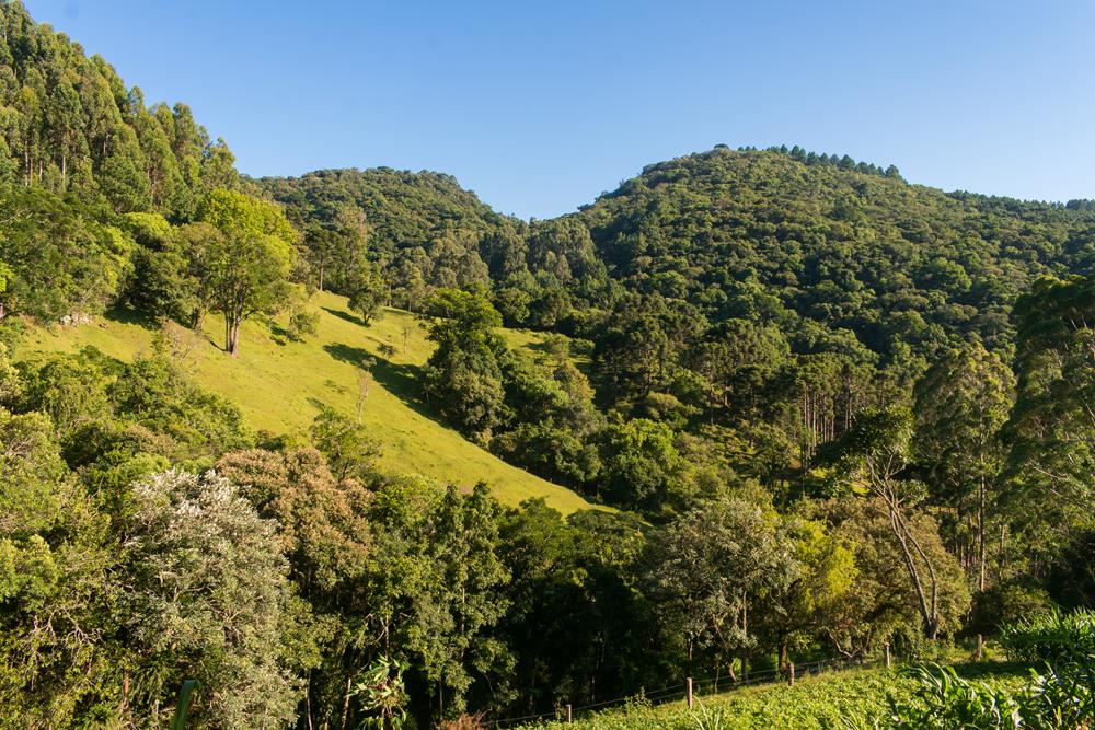 estrada-da-serra-velha (2)