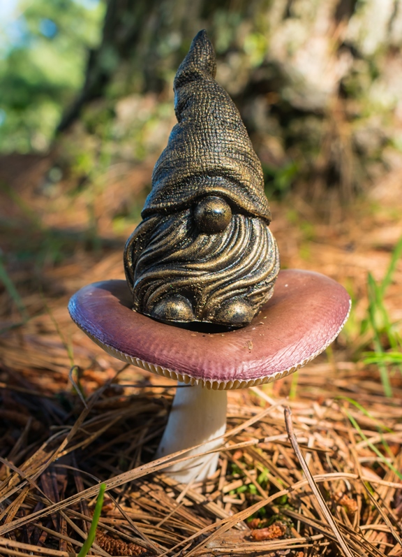 Cogumelo Russula sardonia no Brasil