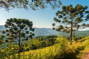 vale-das-piramides (3)