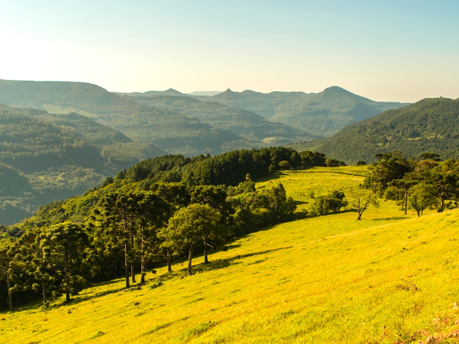 Colônia Itagiba e Lagoas | Área rural de São Francisco de Paula