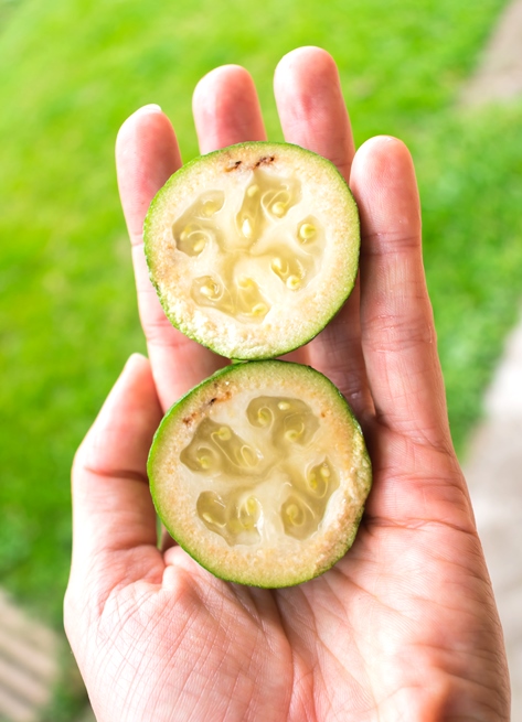 Feijoa - interior da fruta