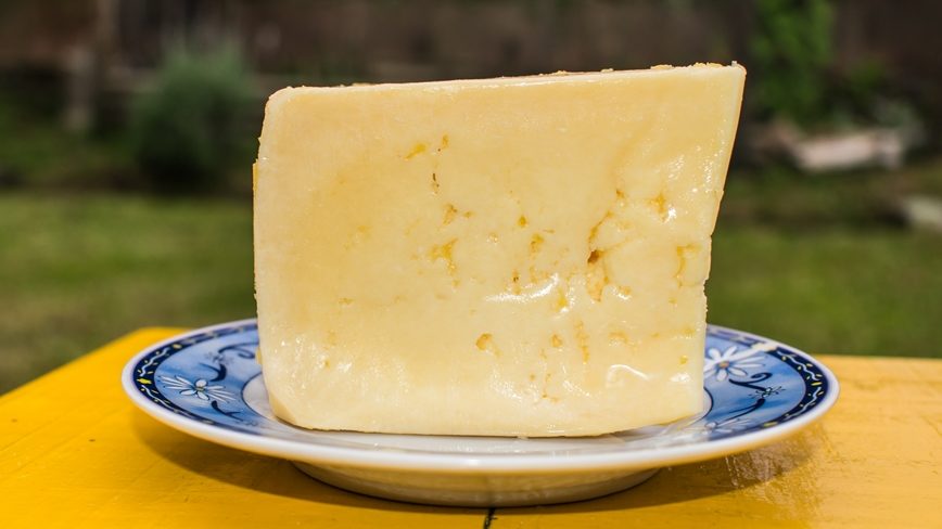 Queijo artesanal serrano