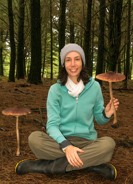 Macrolepiota abruptibulbosa