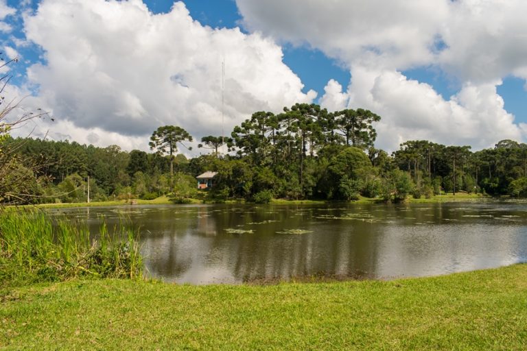 Floresta Nacional de Canela (FLONA) | Serra Gaúcha