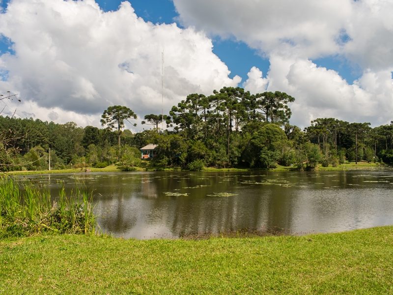 Floresta Nacional de Canela (FLONA) | Serra Gaúcha