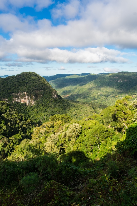 Parque da Ronda