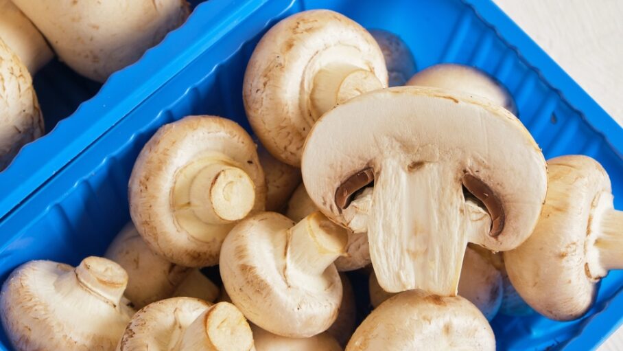 Champignon de Paris