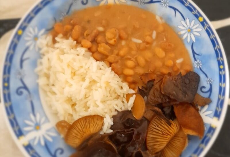 Caça aos Cogumelos, banho de floresta e jantar no fim do dia