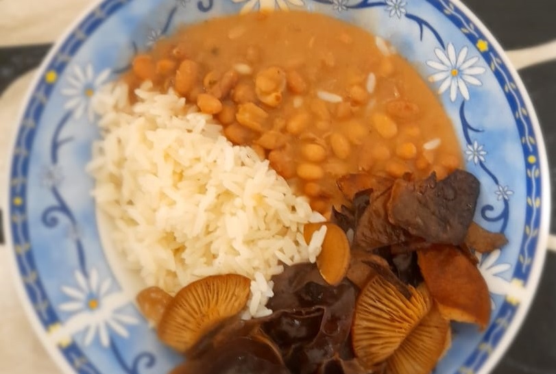 Caça aos Cogumelos, banho de floresta e jantar no fim do dia