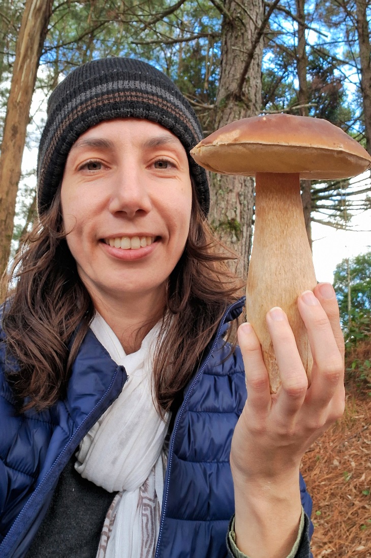 Porcini - coleta 2025
