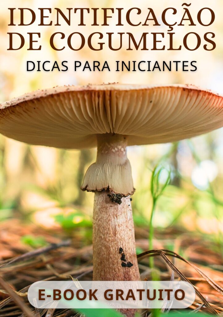 Identificacao de Cogumelos - ebook gratuito