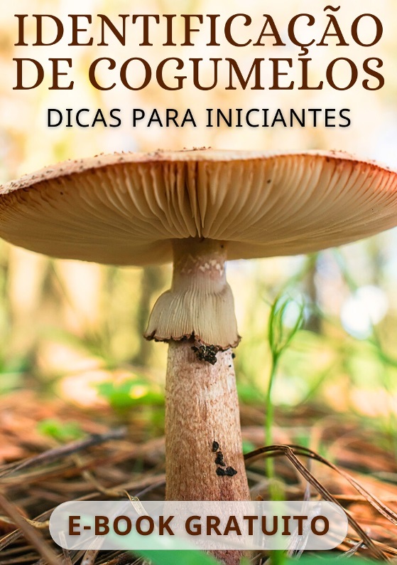 eBook - Identificação de cogumelos